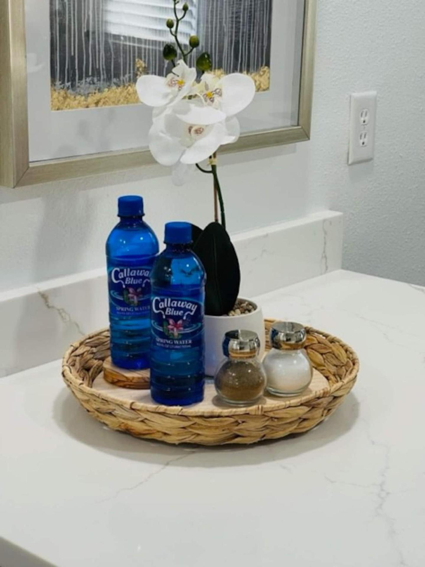 Walk Everywhere! 1-Bedroom Gem In Downtown Hub New Port Richey Exterior foto