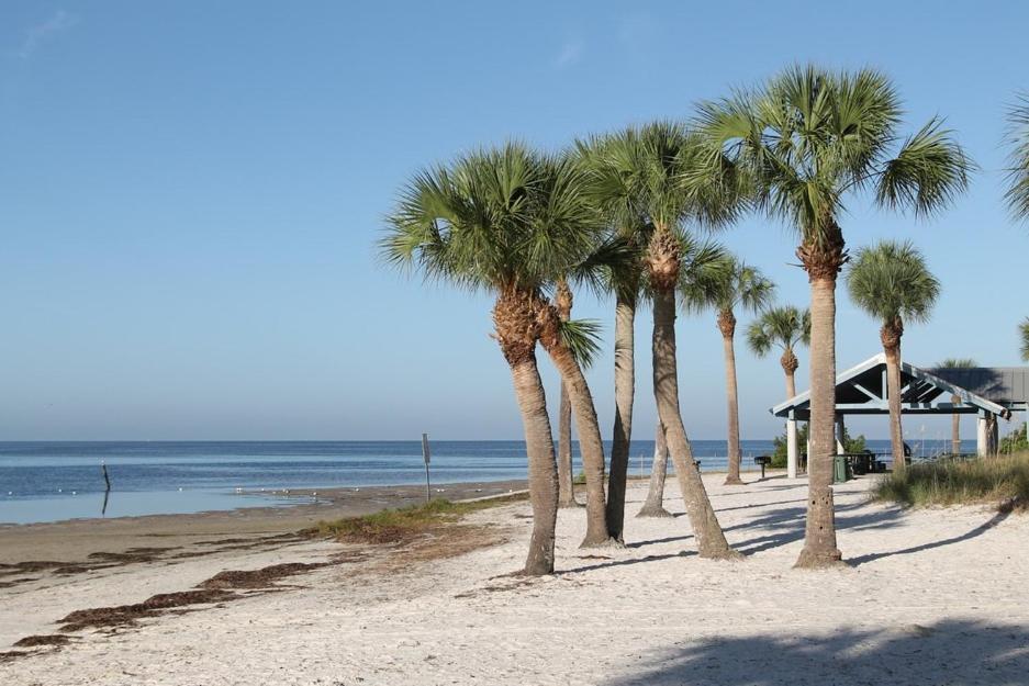 Walk Everywhere! 1-Bedroom Gem In Downtown Hub New Port Richey Exterior foto